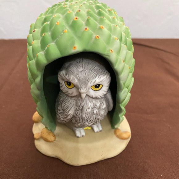 Owl in cactus home - Picture 1 of 7